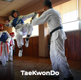 actividades-extra-escolares-taekwondo-alamos