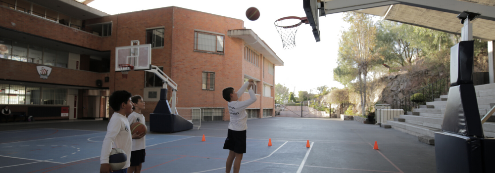 ¿Cuál es la relación entre el deporte y el rendimiento académico?