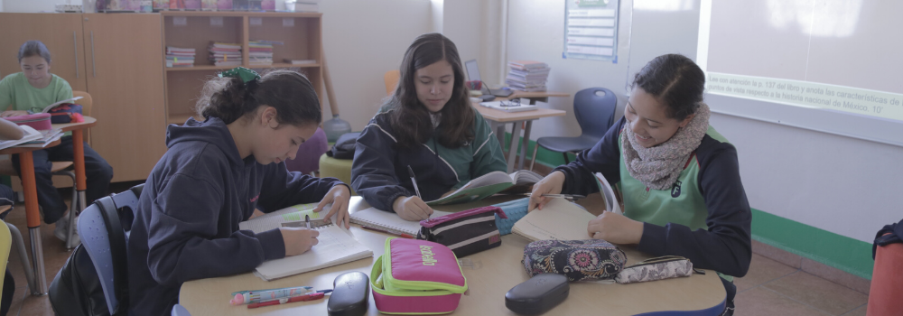Diferencias entre niñas y niños al aprender