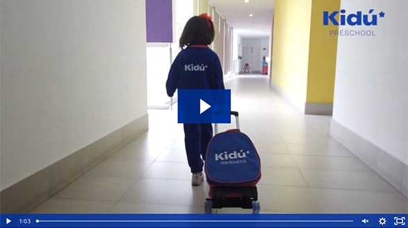 Protocolo de ingreso al colegio